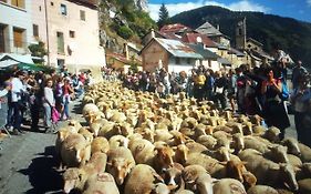 Le Des Buisses